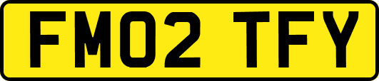 FM02TFY
