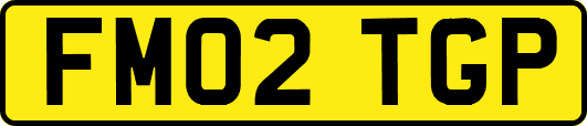 FM02TGP