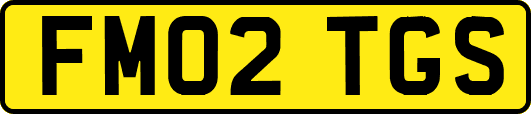 FM02TGS