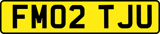 FM02TJU