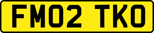 FM02TKO