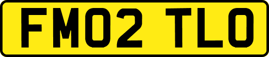 FM02TLO