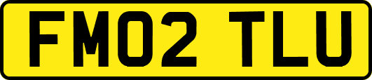 FM02TLU