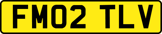 FM02TLV