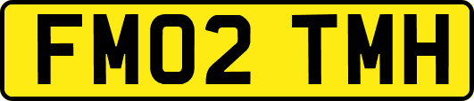 FM02TMH