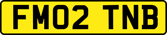 FM02TNB