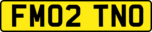FM02TNO