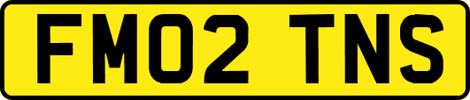 FM02TNS
