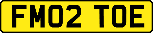FM02TOE