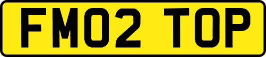 FM02TOP