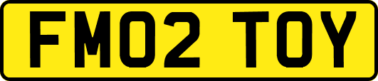 FM02TOY