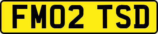 FM02TSD
