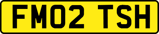 FM02TSH