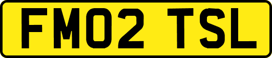 FM02TSL