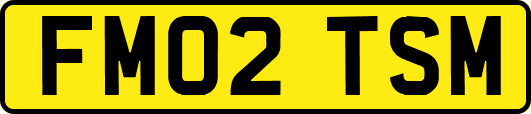 FM02TSM