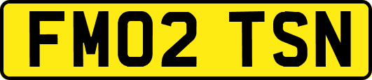 FM02TSN