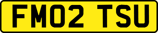 FM02TSU