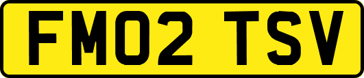 FM02TSV