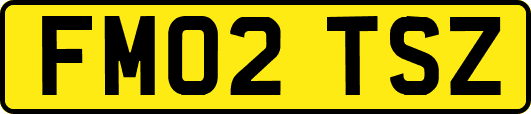 FM02TSZ