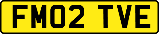 FM02TVE