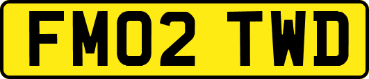 FM02TWD