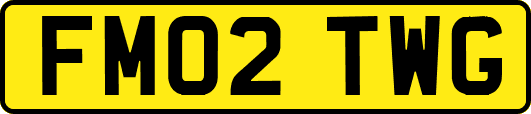 FM02TWG