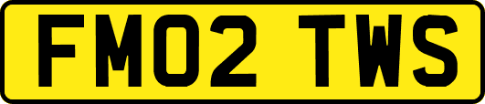 FM02TWS