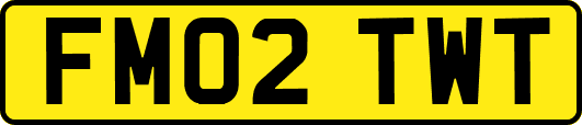 FM02TWT