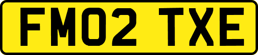 FM02TXE