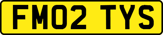 FM02TYS
