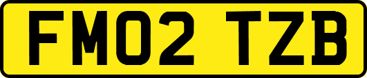 FM02TZB