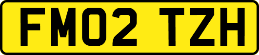 FM02TZH