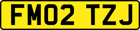 FM02TZJ