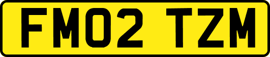 FM02TZM