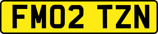 FM02TZN