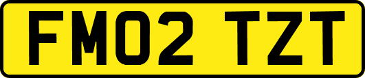 FM02TZT
