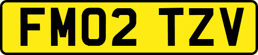 FM02TZV