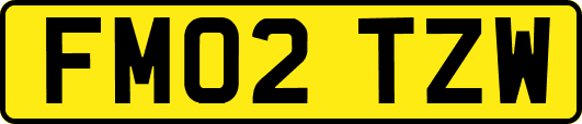 FM02TZW