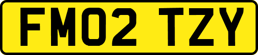 FM02TZY
