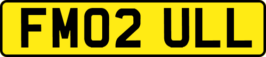 FM02ULL