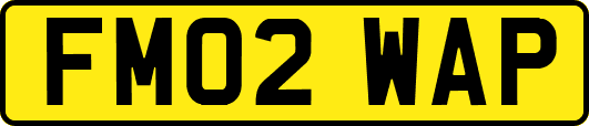 FM02WAP