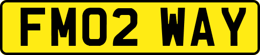 FM02WAY