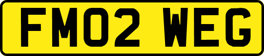 FM02WEG