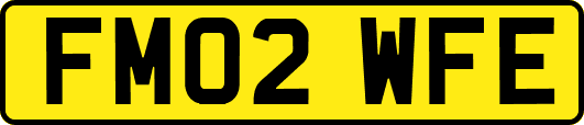FM02WFE