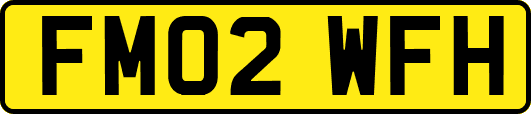 FM02WFH