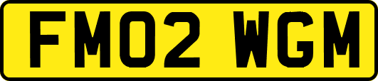FM02WGM