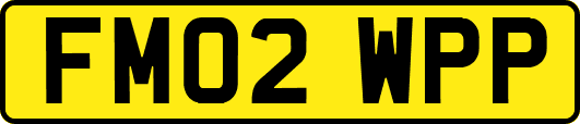 FM02WPP