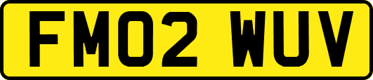 FM02WUV