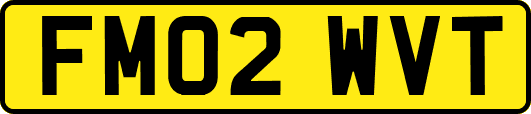 FM02WVT