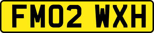 FM02WXH